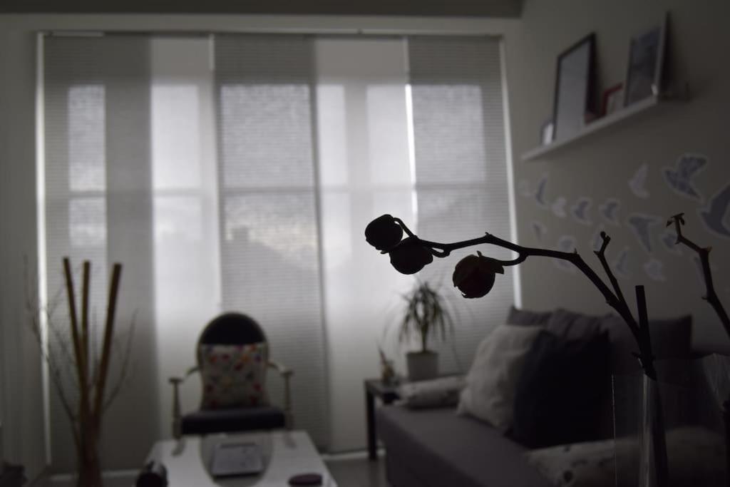 Piso Con Encanto En Coruna. Apartment *