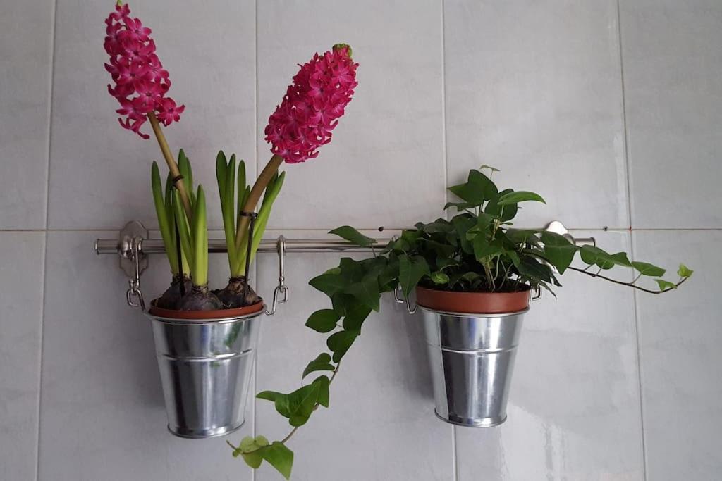 Apartment Piso Con Encanto En Coruna. *